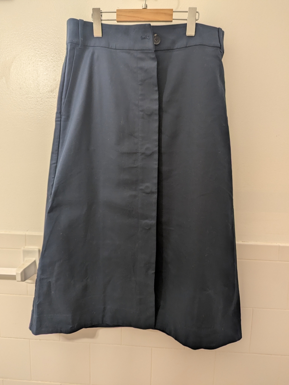 Everlane Button Up Navy A-Line Midi Skirt